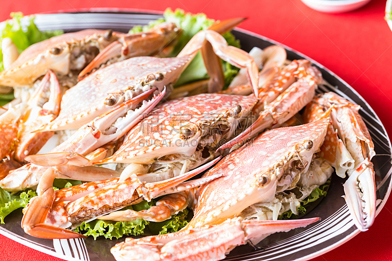 海产,螃蟹,蒸菜,上菜,丹金尼斯螃蟹,餐具,煮食,水平画幅,贝壳,开胃品
