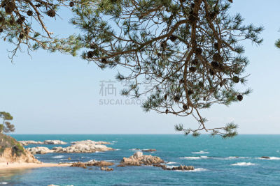 海岸线,西班牙,勇气,赫罗纳,陡峭海岸,赫罗纳省,歌剧院,特萨德玛,地中海,夏天