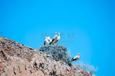 街道,建筑外部,古典式,纪念碑,房屋,地形,外立面,水平画幅,旅行者,户外
