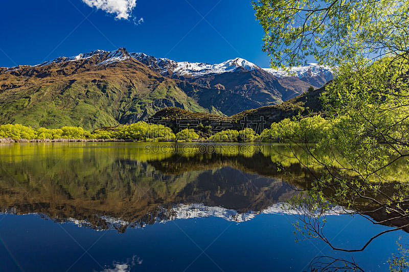 瓦纳卡,新西兰,湖,落基山国家公园,艾斯派林山国家公园,钻石,图像,雪,三锥山,无人