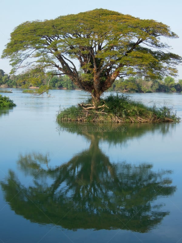 东德岛,湄公河,岛,垂直画幅,无人,河流,户外,老挝,树,摄影