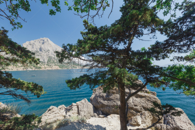 夏天,风景,塞瓦斯托波尔,雅尔塔,度假胜地,水平画幅,山,克里米亚,无人,海岸地形