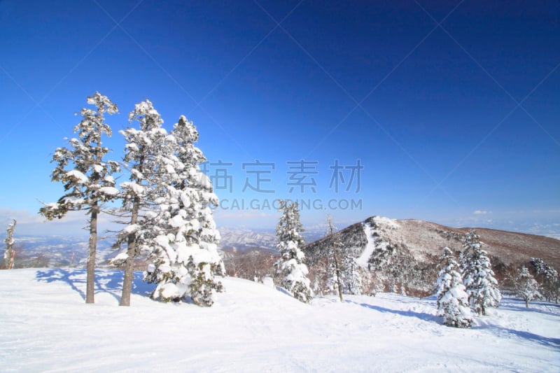 滑雪坡,自然,季节,八幡平市,冬天,图像,雪花,雪,无人,岩手县