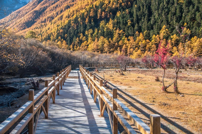 秋天,多色的,木板路,香格里拉县,四川省,未来,公园,水平画幅,户外,湖