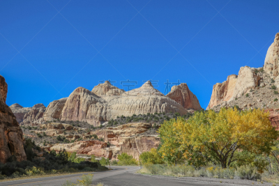 风景,犹他,路,莫斯特,一只动物,地球,万岩柱,沙岩,escalante,沙漠
