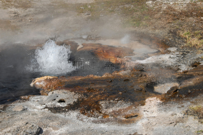 黄石公园,间歇泉,幼小动物,下喷泉盆地,thermal park,自然,水,美国西部,水平画幅,地形