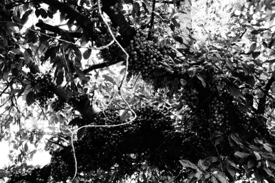 灵性,新的,水平画幅,风化的,无人,绘画插图,符号,古老的,超现实主义的,夏天