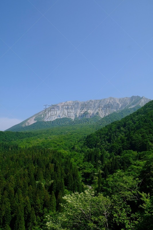 daisen,摄像机拍摄角度,日本山毛榉,鸟取县,本州岛中国地区,垂直画幅,山,无人,著名景点,日本