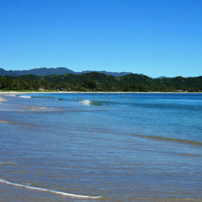 凯卢阿,自然美,瓦胡岛,美国,凯鲁瓦海滩,海滩,撒谎者,一只动物,国境线,获胜