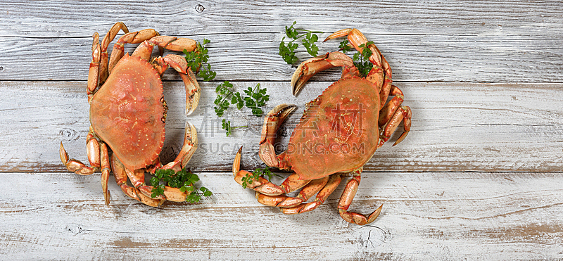 丹金尼斯螃蟹,两个物体,完整,水平画幅,膳食,海产,乡村风格,螃蟹,白色,晚餐