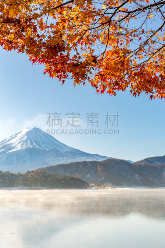 富士山,秋天,日本,河口湖,富士河口湖,枫叶,垂直画幅,雪,无人,早晨