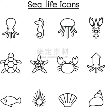 细的,计算机图标,图标集,海洋生命,线条,高雅,海胆,鱿鱼,章鱼,水母
