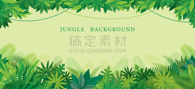 边框,热带雨林,鸡尾酒,清新,热带气候,泰国,环境保护,枝繁叶茂,棕榈叶,植物
