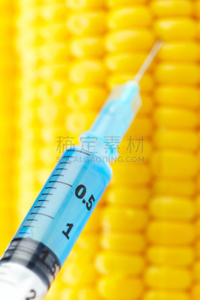 注射器,玉米,穿入,垂直画幅,选择对焦,人造的,生物科技,无人,科学实验,生长