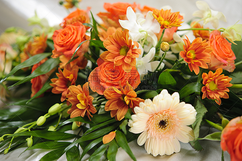 橙色,花束,春白菊花,自然,水平画幅,绿色,无人,色彩鲜艳,自然美,婚礼