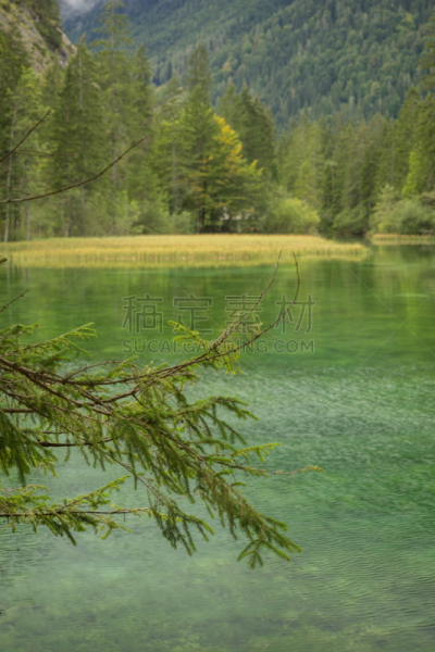 湖,奥地利,欣特斯托德,自然美,垂直画幅,美,休闲活动,旅行者,夏天,户外
