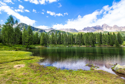 圣培露矿泉水公司,湖,山口,健康保健,著名景点,松树,针叶树,落叶松,夏天,户外