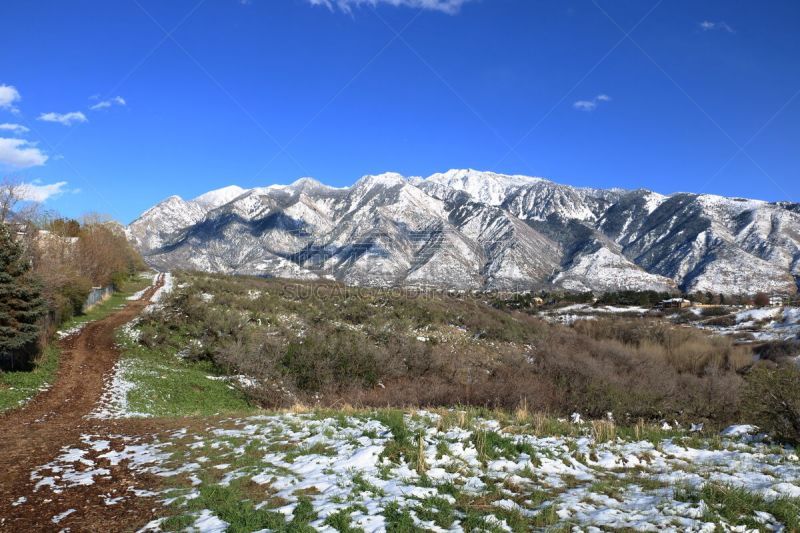 春天,小杨木峡谷,清新,修改系列,犹他,雪,美国西部,草,3到4个月,瓦萨屈山脉