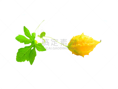 黄瓜,酸味,自然,饮食,水平画幅,葫芦,素食,有机食品,维生素,苦瓜