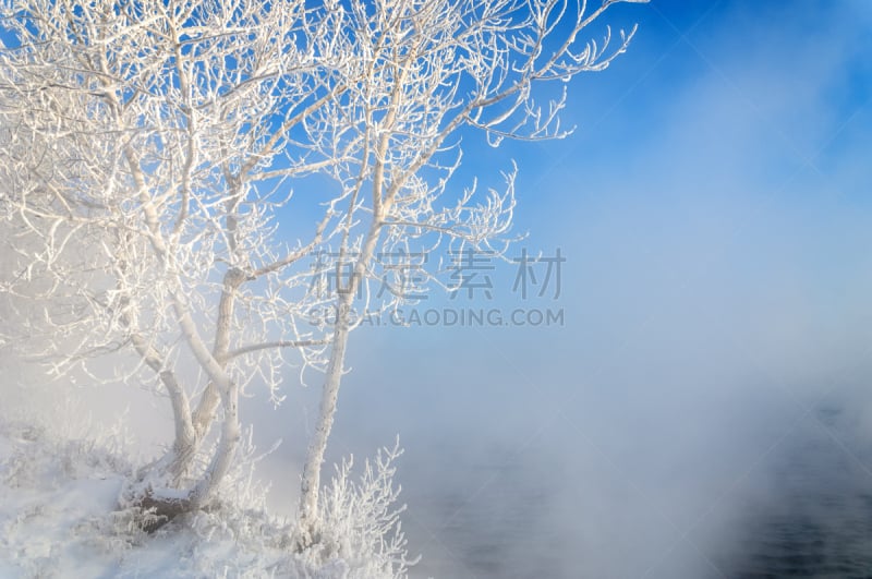 冬天,河流,水平画幅,无人,户外,俄罗斯,白色,雪花,季节,树