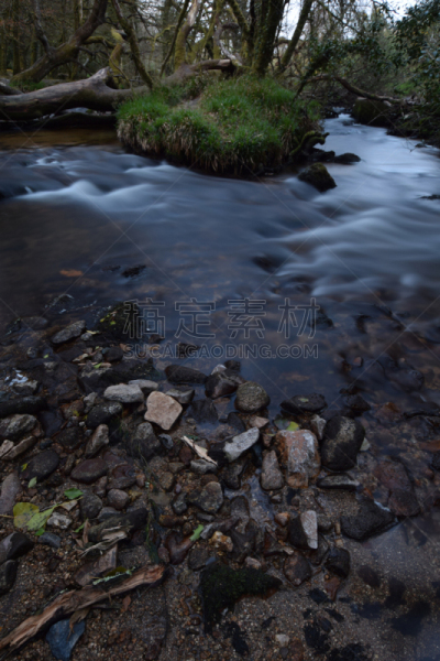 bodmin moor,fowey河,康沃尔,树林,河流,自然,垂直画幅,无人,英国,苔藓