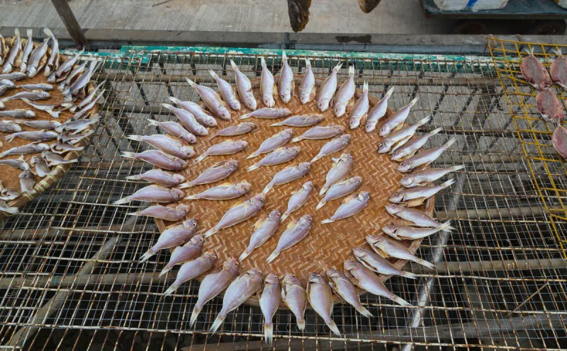 大澳 大澳图片 大澳素材下载 稿定素材