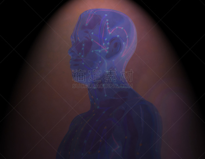 针灸模型,人,健康保健,针灸师,指压,针灸,穿洞的,物理疗法,躯干,水平画幅