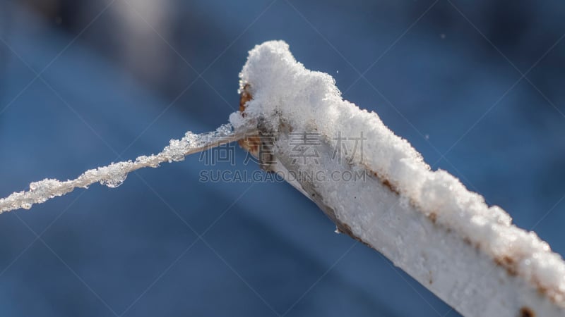 晒衣绳,雪,有包装的,冰块,卡波西肉瘤,冰晶,衣夹,自然,水平画幅,无人