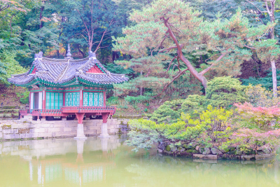 昌德宫,首尔,建筑,朝鲜半岛,城市,南大门,水平画幅,无人,宫殿,大门