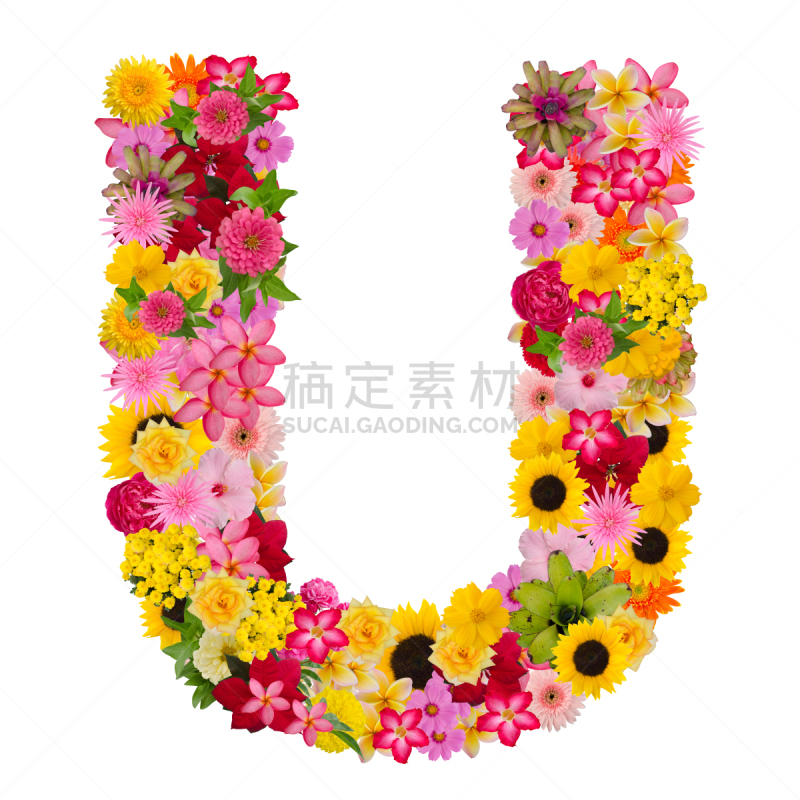 字母,英文字母u,字体,品牌名称,字母表次序,接力赛,概念,玫瑰,背景分离,马齿苋
