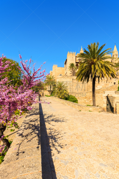 Spring in Palma de Mallorca town near La Seu cathedral, Spain