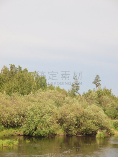 夏天,河流,森林,垂直画幅,水,美,公园,枝繁叶茂,户外,湖