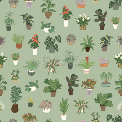 26 common apartment plants which are a great option for people who has no outdoor space for gardening or for those who live in cold climate. They also provide health benefits and can be used in a variety of indoor décor themes.