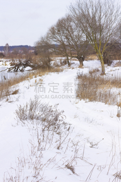 雪,河流,路,垂直画幅,褐色,无人,在边上,沼泽,户外,干的
