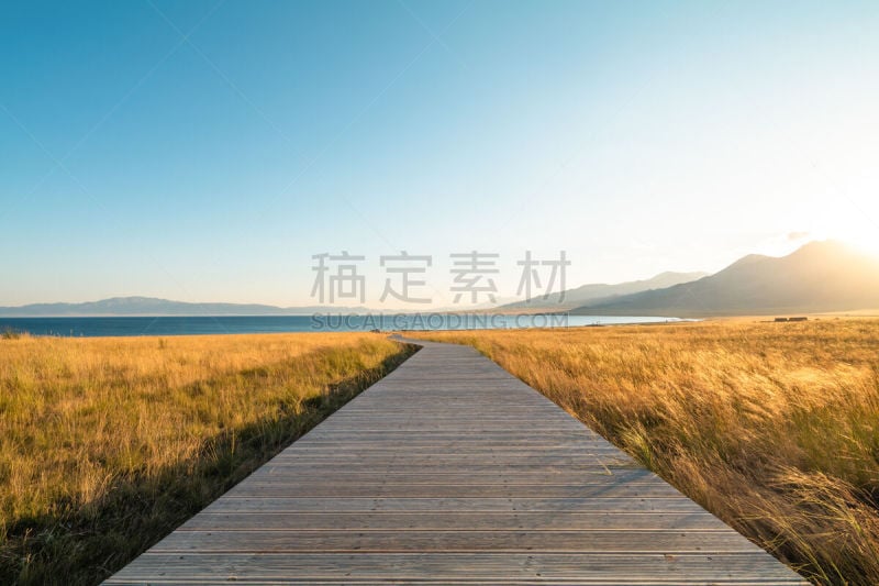 木板路,赛里木湖风景区,旅途,纯净,草,著名景点,自然美,中国,湖,植物