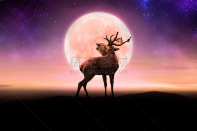 水平画幅,星星,夜晚,月亮,曙暮光,野外动物,户外,地平线,庸俗,鹿角