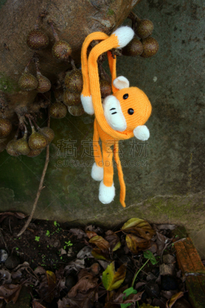 猴年,符号,猴子,2016,羊毛,垂直画幅,户外,非凡的,monkey face,彩色图片