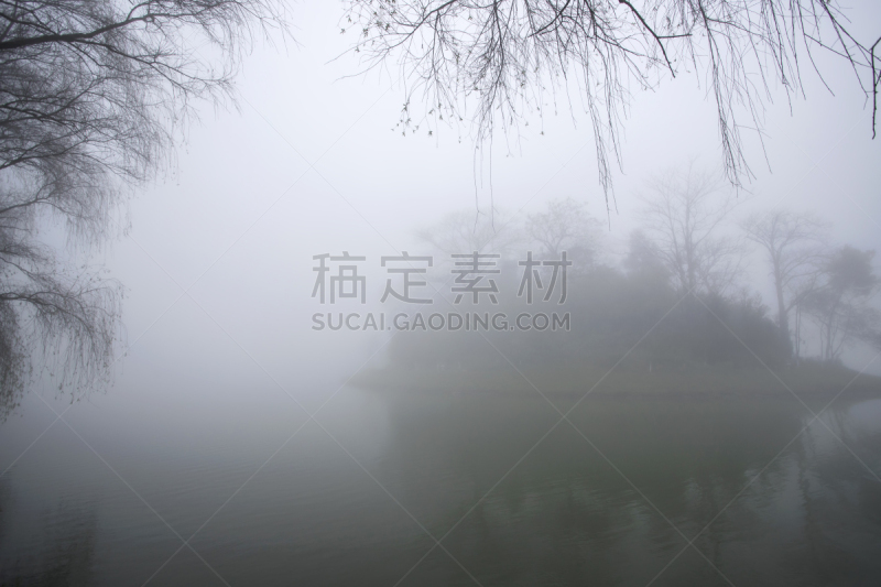越南,雾,自然美,冬天,萨帕,商务,湖,植物,河流,户外