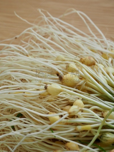 细香葱,成分,野生植物,韩国食物,蔬菜,清新,中文,香料,饮食产业,野葱