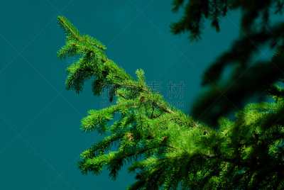 多洛米蒂山脉,夏天,湖,意大利,季节,水,天空,美,水平画幅,早晨
