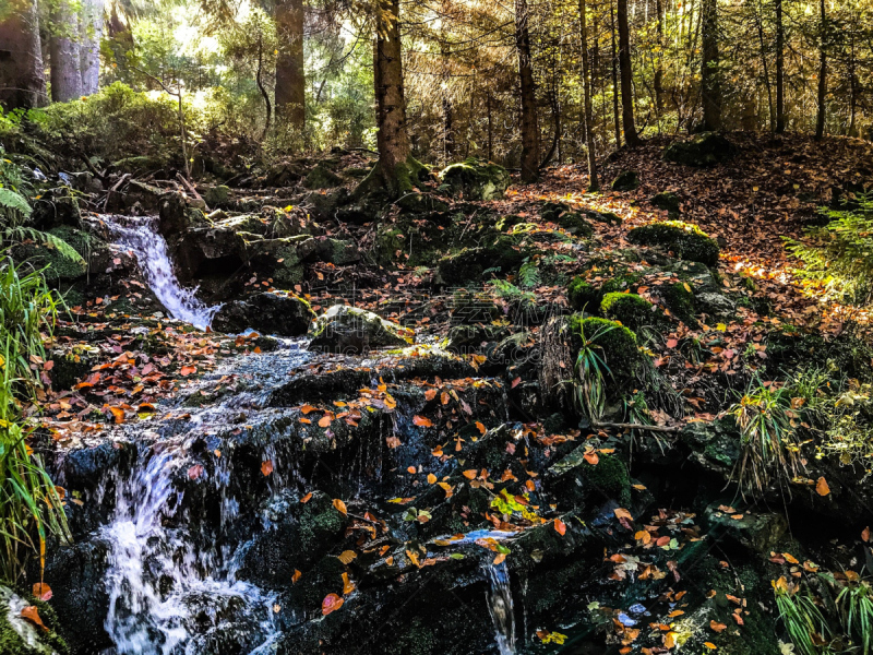 Beautiful autumn colors and small waterfall in the forest in the Höegne Valley, Eastern Belgium