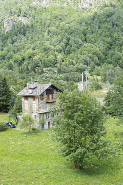 夏逢尼水岸,住房,韦尔切利,自然,垂直画幅,地形,无人,欧洲,夏天,建筑外部