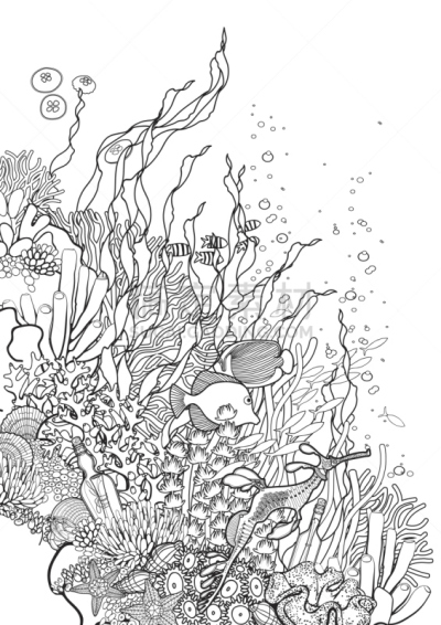 礁石,式样,彩色书,海草,水族馆,鱼缸,珊瑚,书页,海藻灰,鱼类