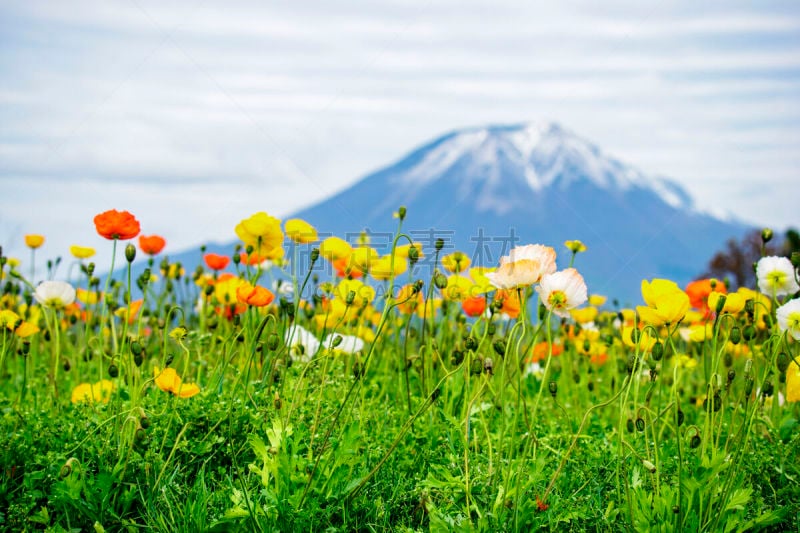 山,daisen,日本,鸟取,旅途,云,本州岛中国地区,鸟取县,户外,山阴地区