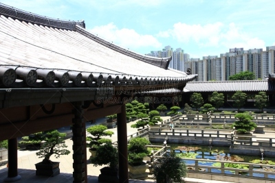 女修道院,唐朝,九龙,瓦,灵性,水平画幅,建筑,木制,无人,屋顶