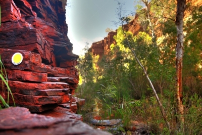 澳大利亚,温诺峡谷,the pilbara,沙漠绿洲,西澳大利亚,偏远地区,气候,环境,沙岩,池塘