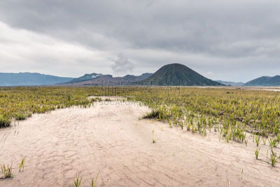 山,平原,接力赛,云,小路,背景,在下面,婆罗摩火山,滕格尔火山,bromo-tengger-semeru national park