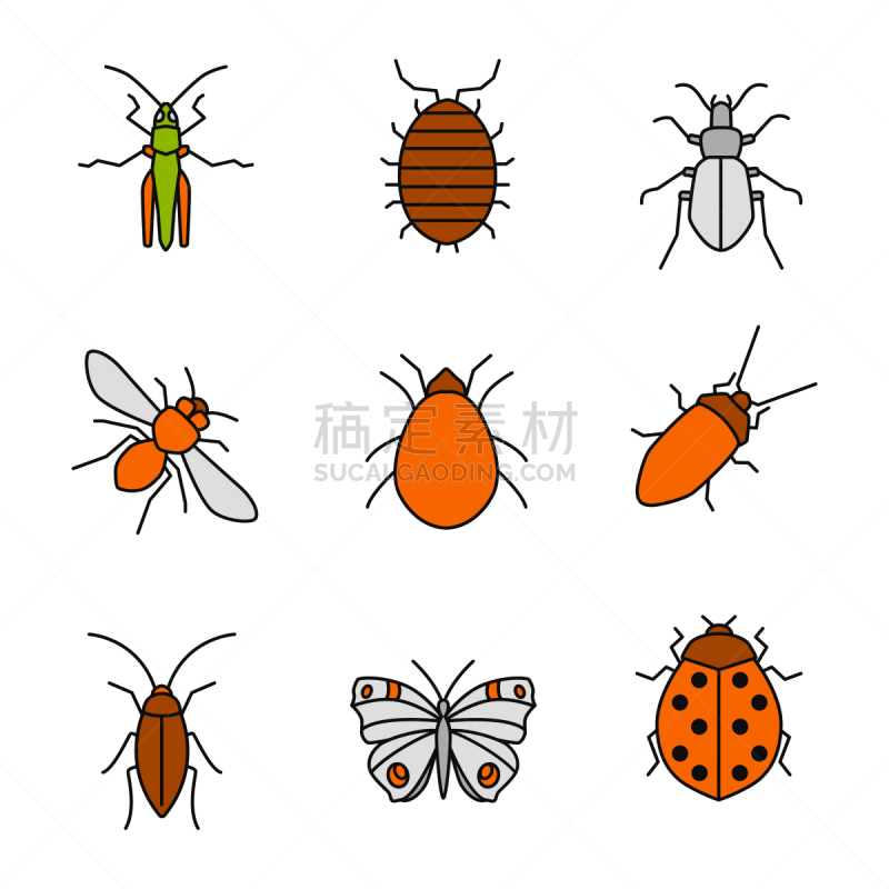 昆虫,杀虫剂,无人,潮虫,绘画插图,螨,蝗虫,蟑螂,蛾,瓢虫