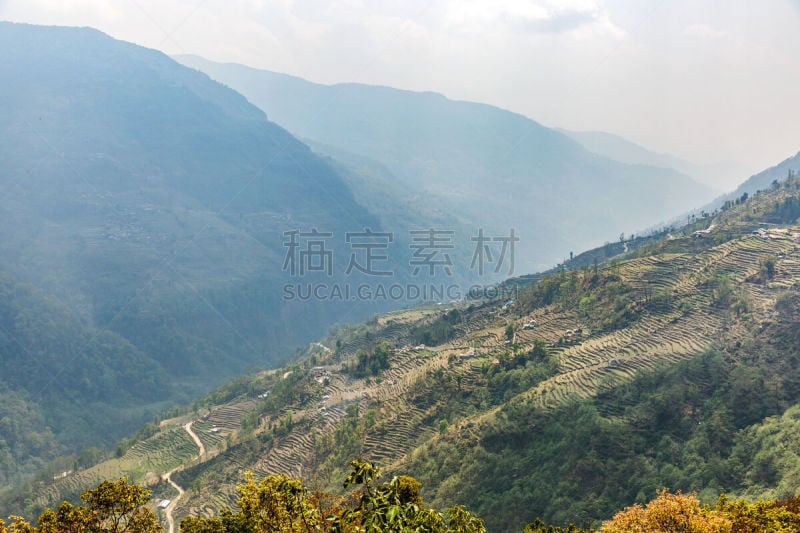 田地,山,陡峭,栽培植物,内野,山庄,热霾,丘陵,梯田,天空