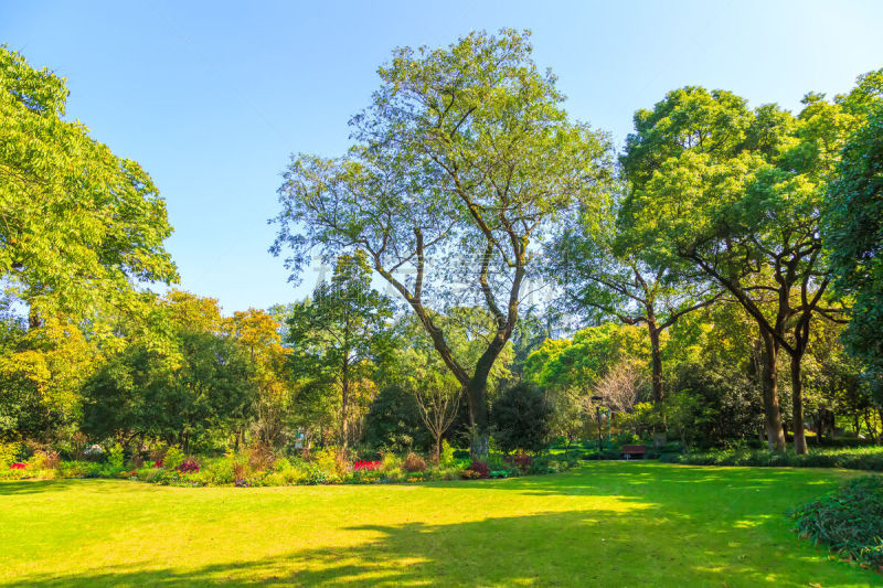 杭州,风景,俄亥俄河,西湖,水,天空,夏天,光,湖